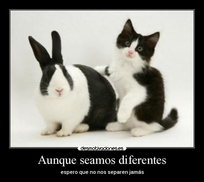 Aunque seamos diferentes -