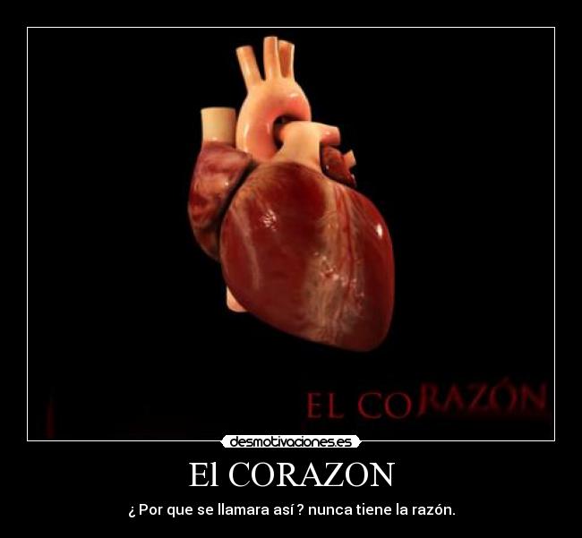 El CORAZON - ¿ Por que se llamara así ? nunca tiene la razón.
