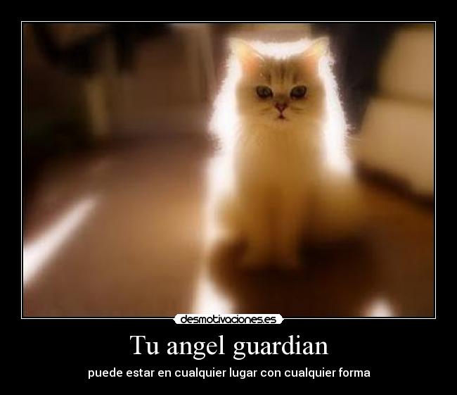 Tu angel guardian - 