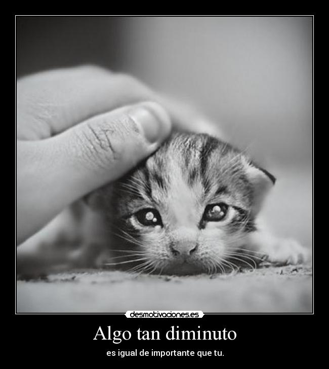 Algo tan diminuto - 