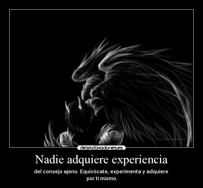 Nadie adquiere experiencia -