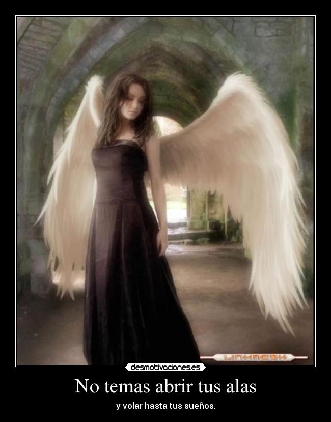 carteles memi desmotivaciones