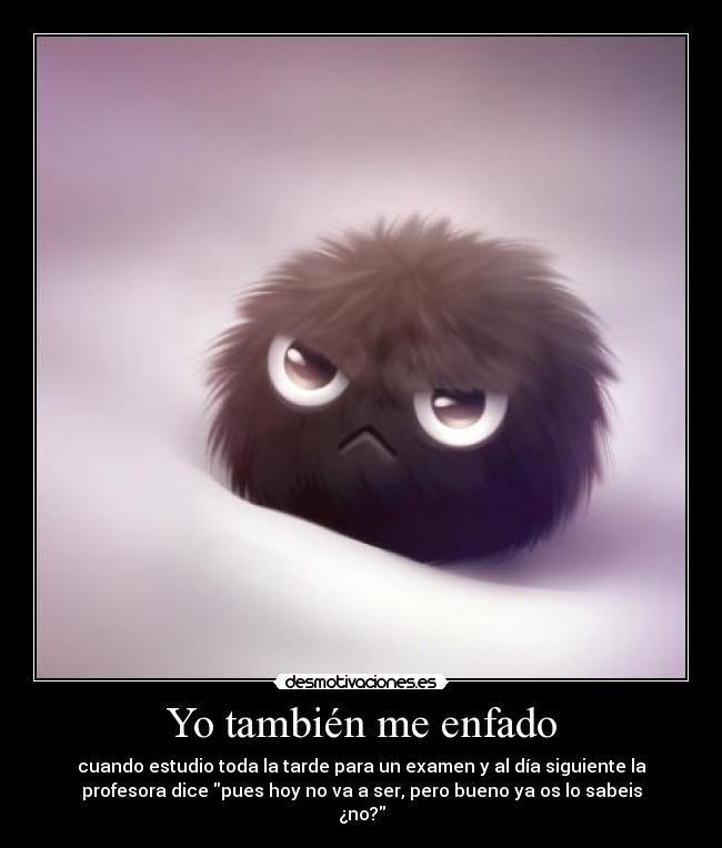 Yo también me enfado - cuando estudio toda la tarde para un examen y al día siguiente la
profesora dice pues hoy no va a ser, pero bueno ya os lo sabeis
¿no?