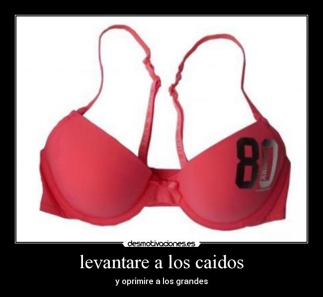 levantare a los caidos - 