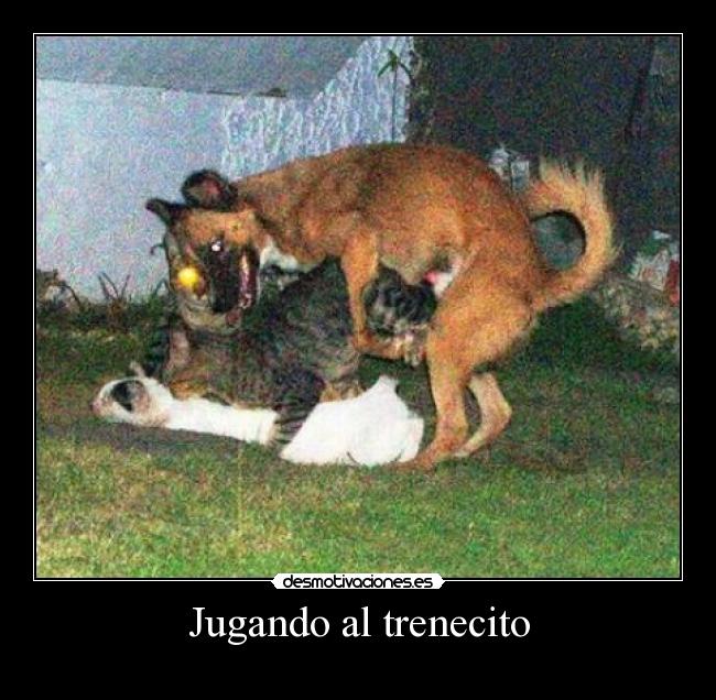 Jugando al trenecito -