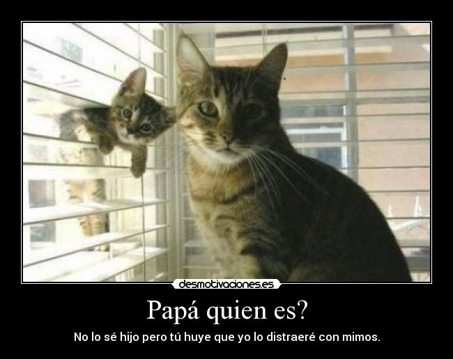 Papá quien es? - 