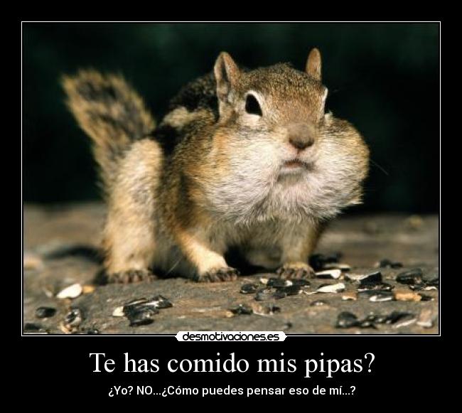 Te has comido mis pipas? -