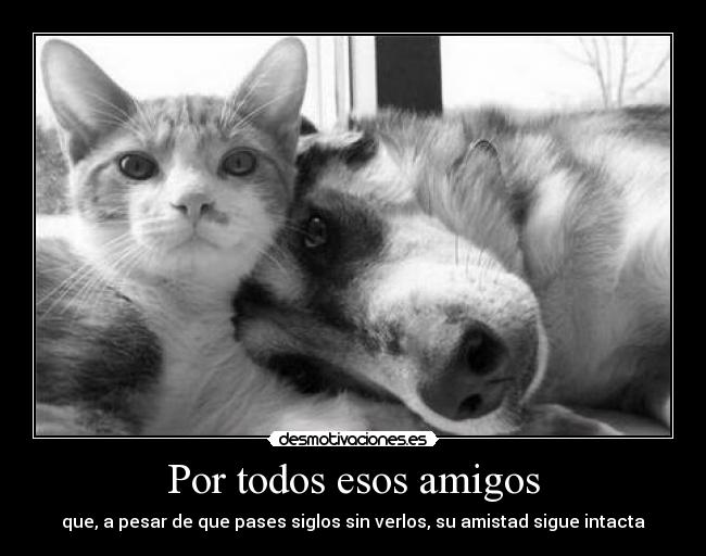 Por todos esos amigos - que, a pesar de que pases siglos sin verlos, su amistad sigue intacta