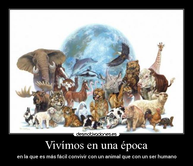 Vivímos en una época - en la que es más fácil convivir con un animal que con un ser humano