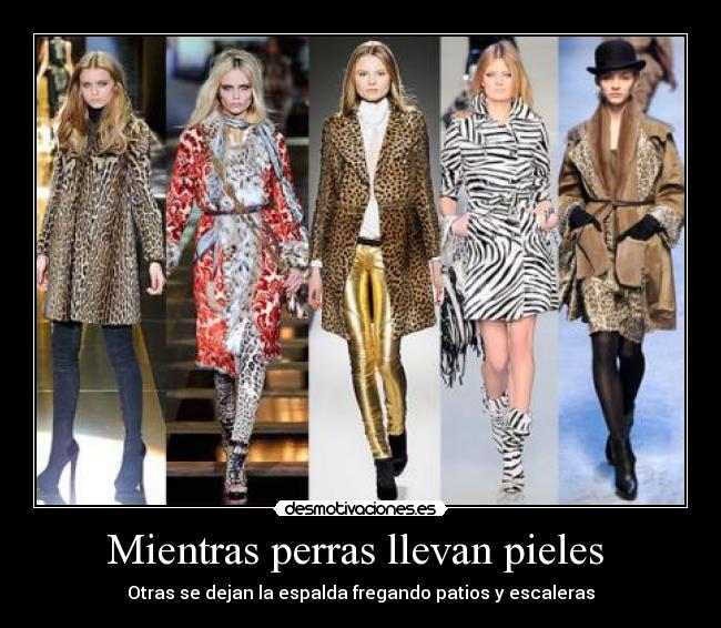 Mientras perras llevan pieles -