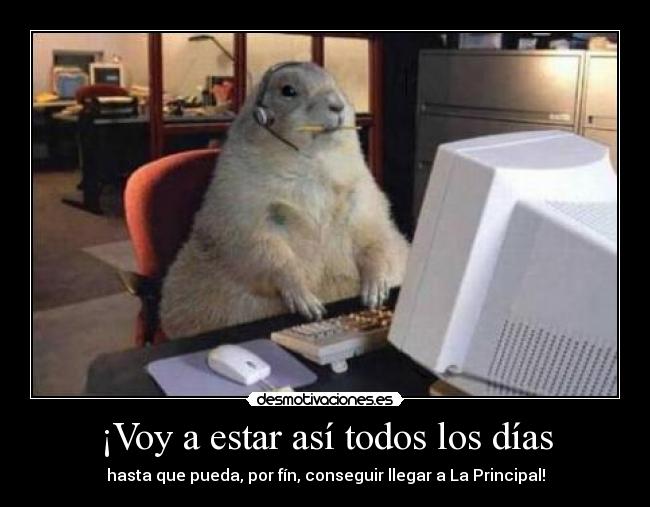 ¡Voy a estar así todos los días - hasta que pueda, por fín, conseguir llegar a La Principal!