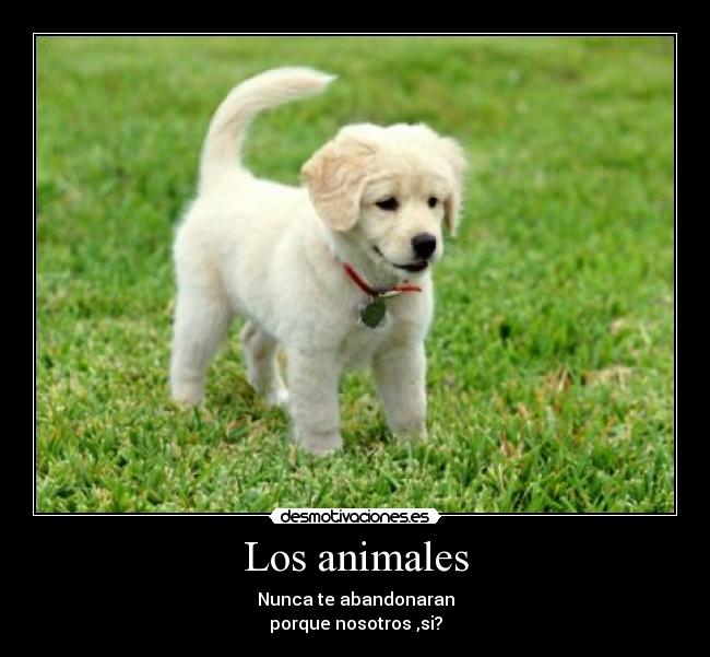 Los animales -