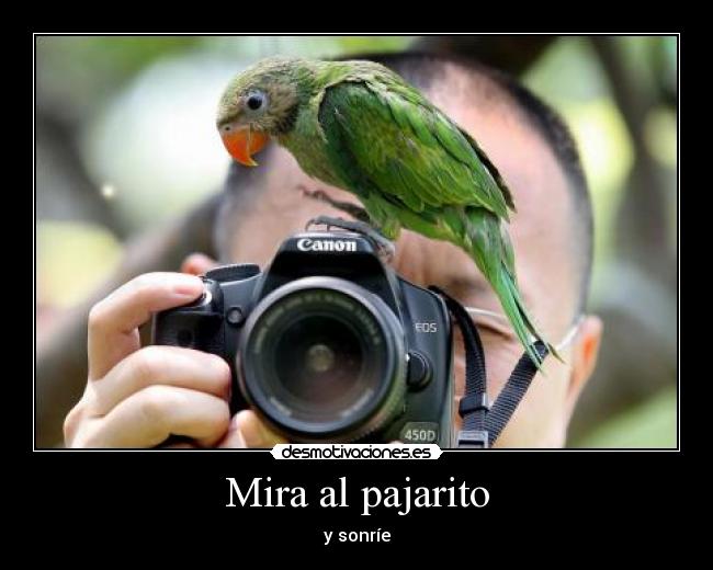Mira al pajarito -