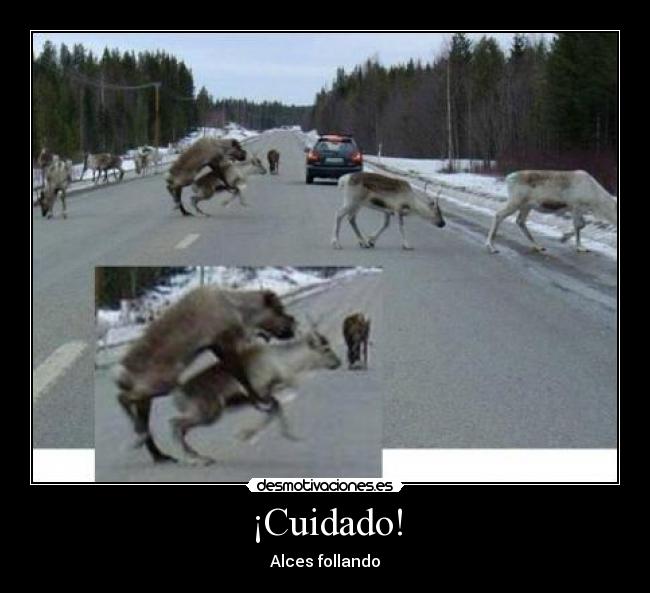 ¡Cuidado! -