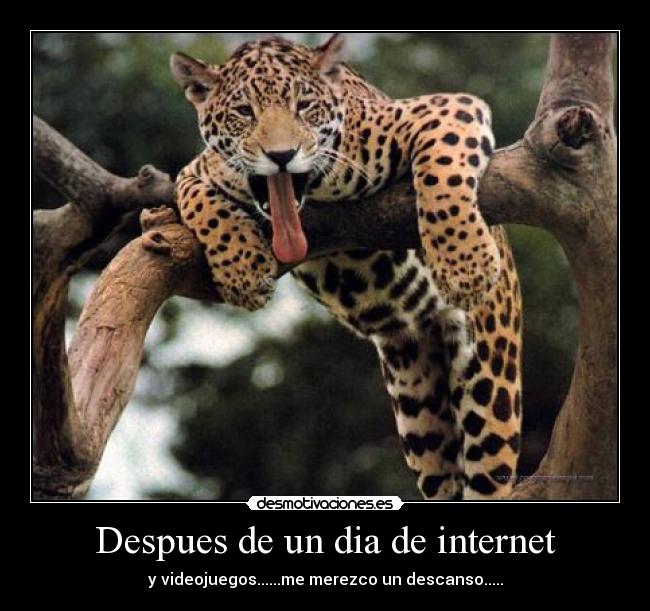 Despues de un dia de internet - y videojuegos......me merezco un descanso.....
