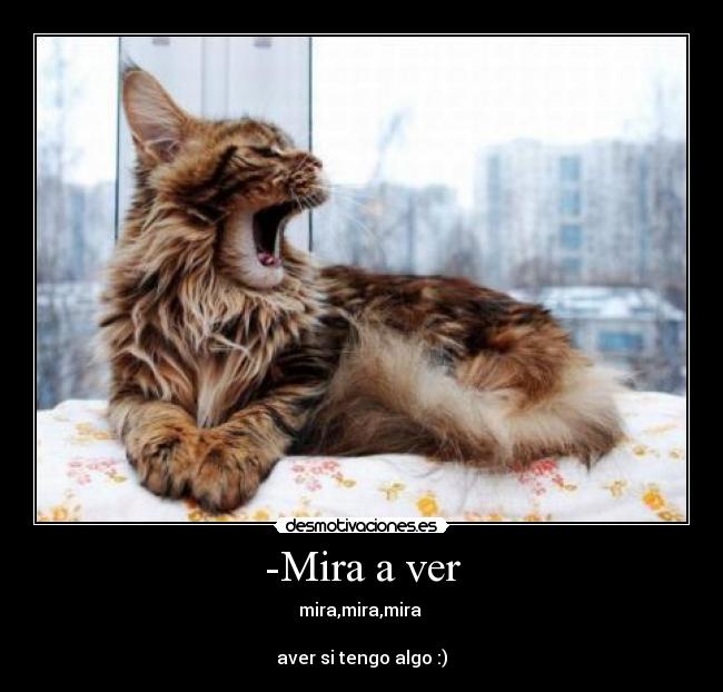 -Mira a ver - mira,mira,mira
aver si tengo algo :)