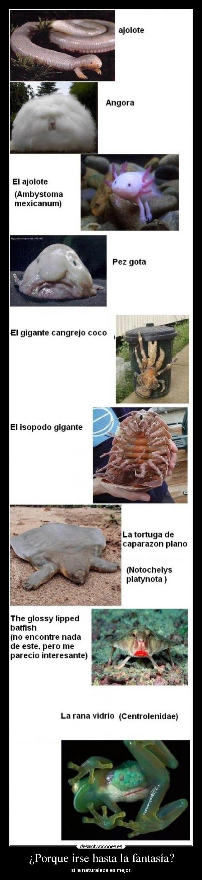 ¿Porque irse hasta la fantasía? - 