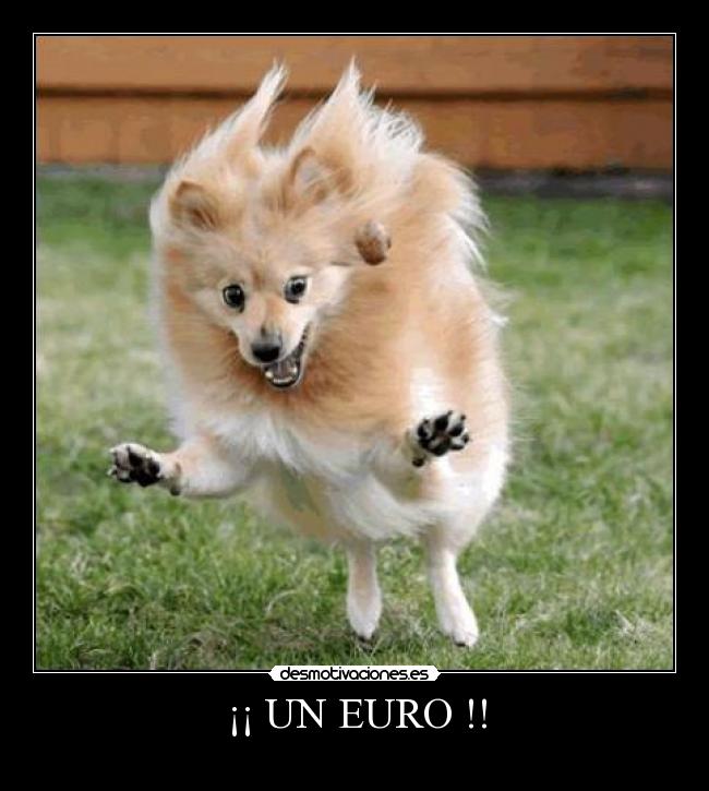 carteles euro perro alegria desmotivaciones