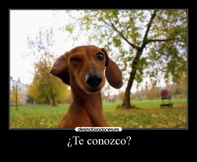 ¿Te conozco? - 