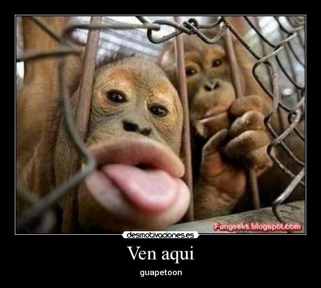 Ven aqui - 