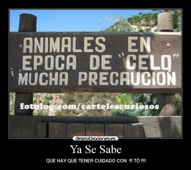 Ya Se Sabe -