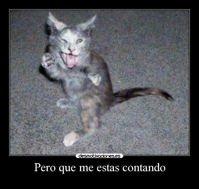 Pero que me estas contando -