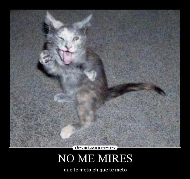 NO ME MIRES - 