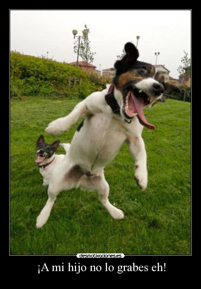 ¡A mi hijo no lo grabes eh! -
