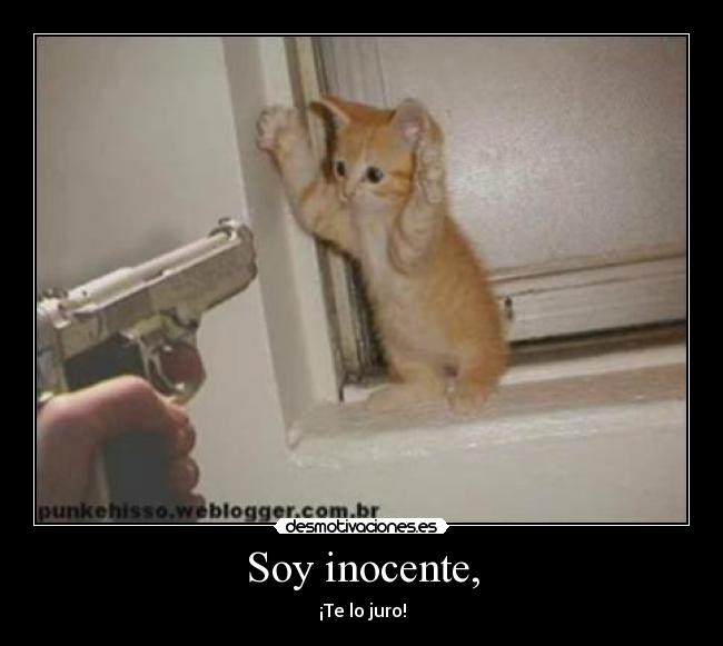 Soy inocente, - ¡Te lo juro!