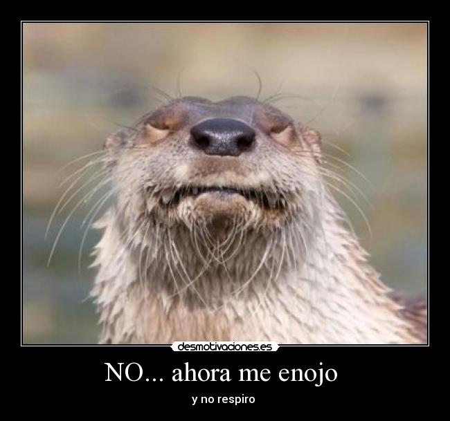 NO... ahora me enojo  - 
