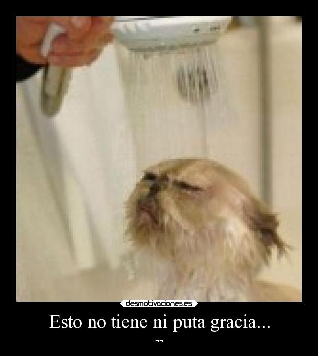 Esto no tiene ni puta gracia... - ¬¬