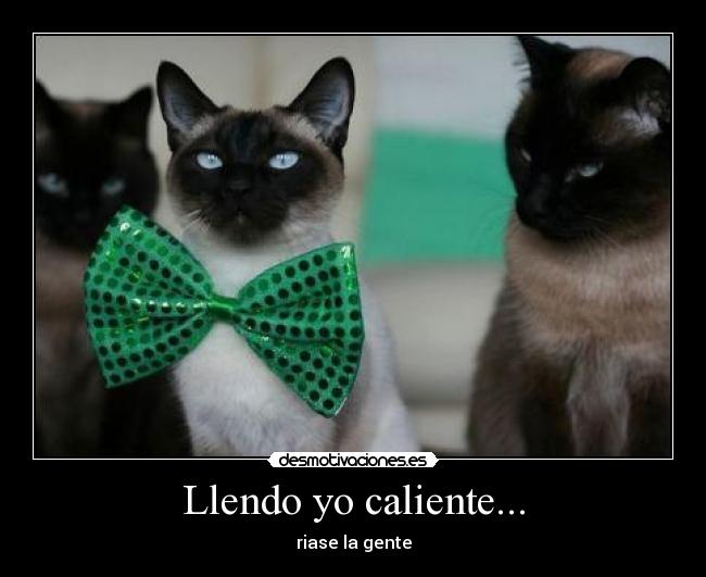 Llendo yo caliente... - 