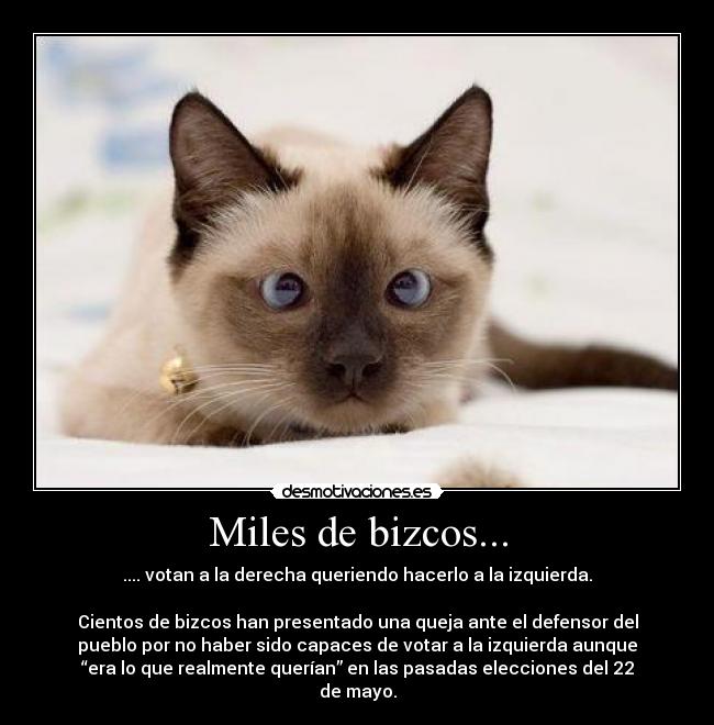 Miles de bizcos... - .... votan a la derecha queriendo hacerlo a la izquierda.

Cientos de bizcos han presentado una queja ante el defensor del
pueblo por no haber sido capaces de votar a la izquierda aunque
“era lo que realmente querían” en las pasadas elecciones del 22
de mayo.