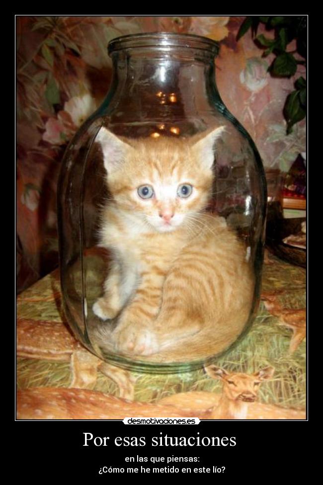 Por esas situaciones  - 