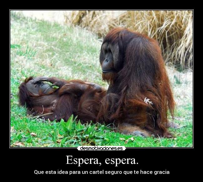 Espera, espera. - Que esta idea para un cartel seguro que te hace gracia