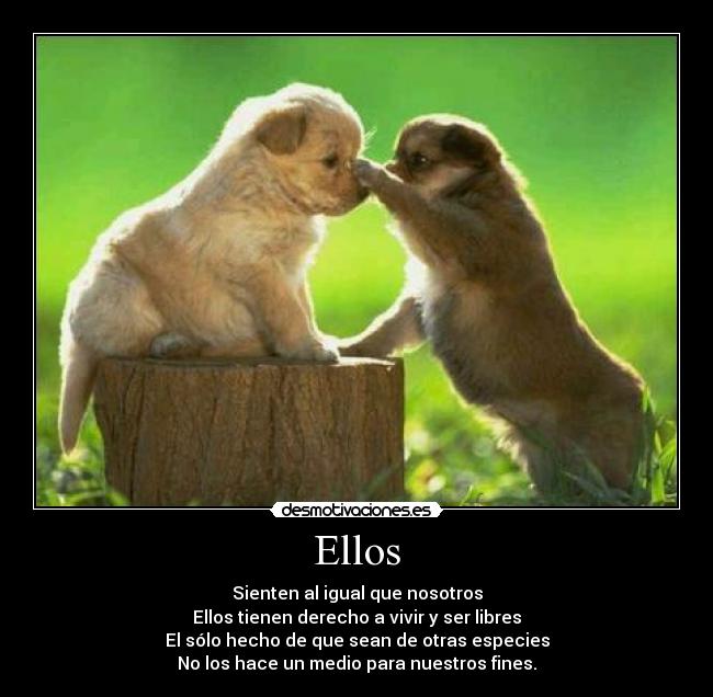 Ellos - 