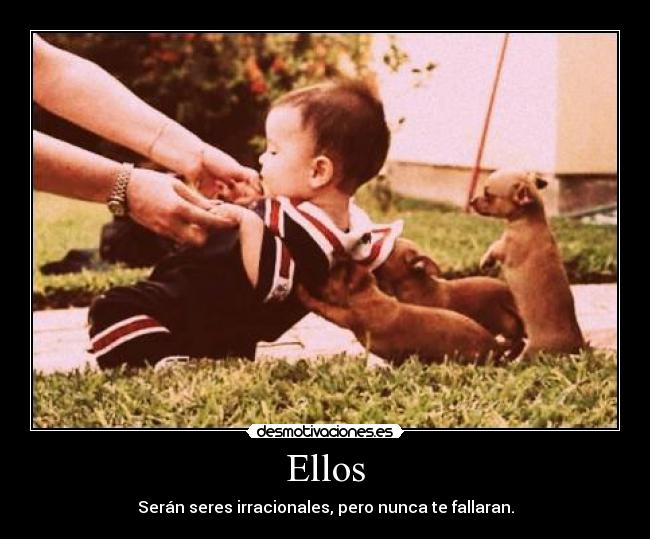 Ellos - Serán seres irracionales, pero nunca te fallaran.