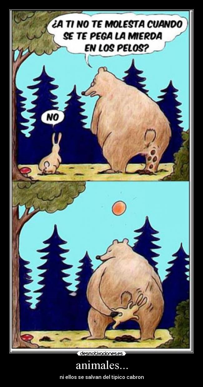 animales... - 