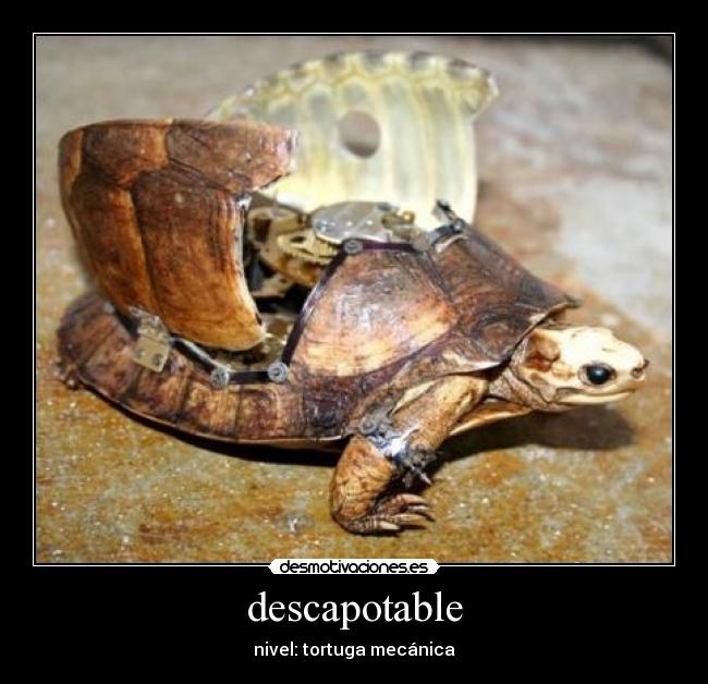 descapotable - nivel: tortuga mecánica