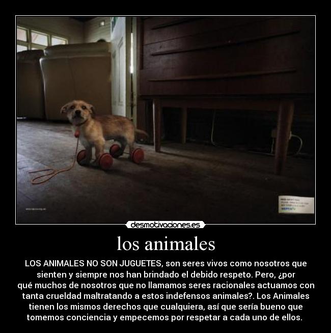 los animales - LOS ANIMALES NO SON JUGUETES, son seres vivos como nosotros que
sienten y siempre nos han brindado el debido respeto. Pero, ¿por
qué muchos de nosotros que no llamamos seres racionales actuamos con
tanta crueldad maltratando a estos indefensos animales?. Los Animales
tienen los mismos derechos que cualquiera, así que sería bueno que
tomemos conciencia y empecemos por respetar a cada uno de ellos.