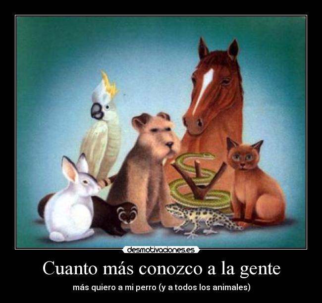 Cuanto más conozco a la gente -