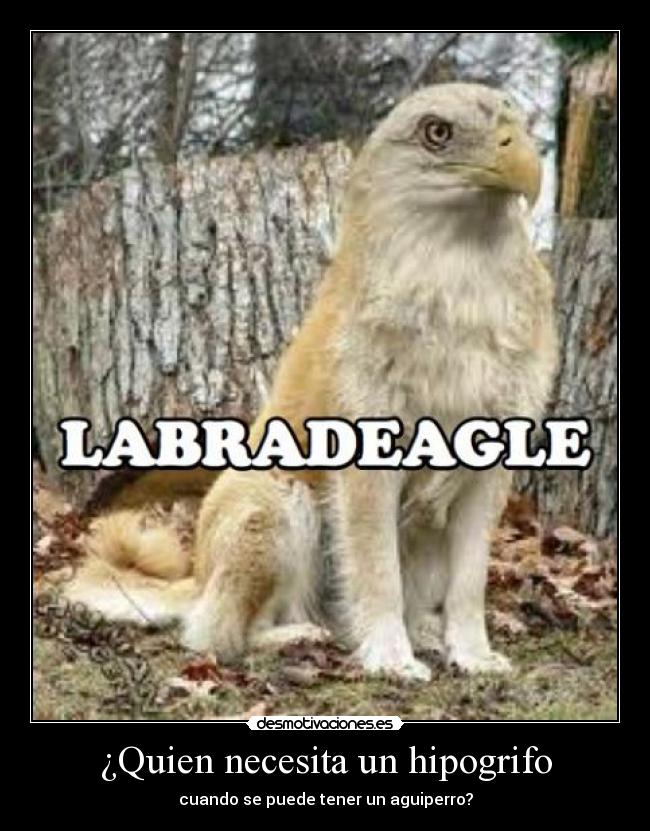 ¿Quien necesita un hipogrifo - 
