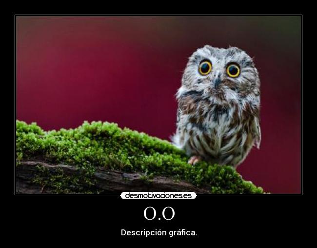 O.O - Descripción gráfica.