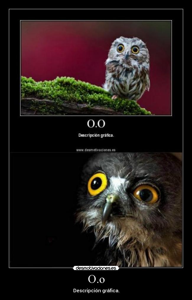 O.o - Descripción gráfica.