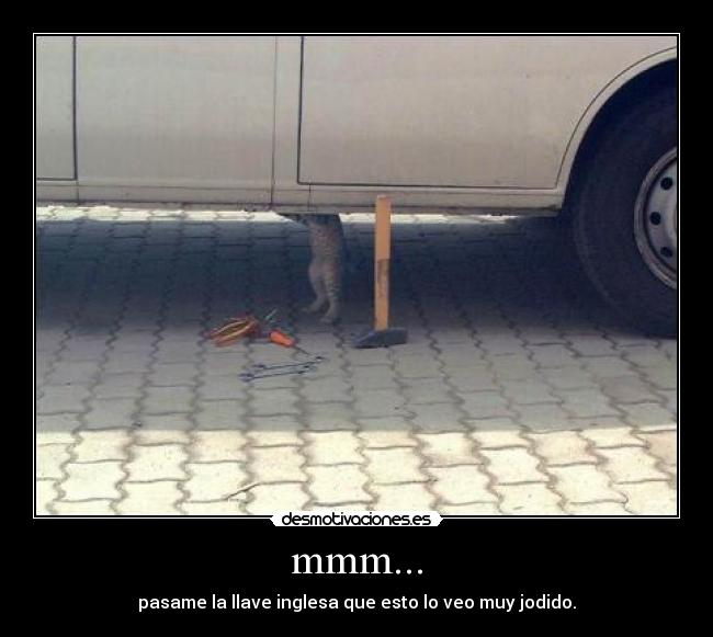 mmm... - pasame la llave inglesa que esto lo veo muy jodido.