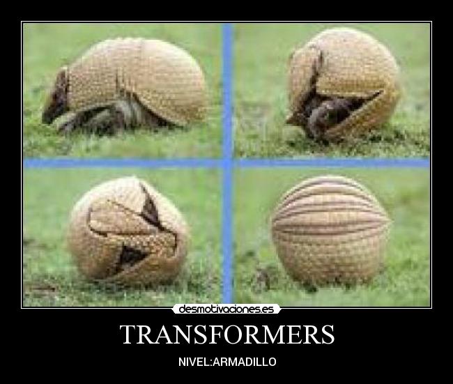 TRANSFORMERS -