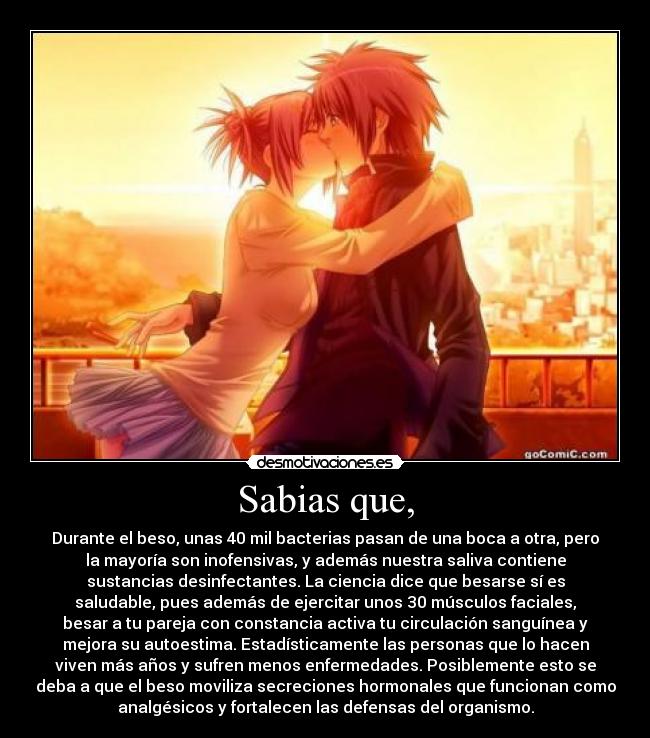 Sabias que, - Durante el beso, unas 40 mil bacterias pasan de una boca a otra, pero
la mayoría son inofensivas, y además nuestra saliva contiene
sustancias desinfectantes. La ciencia dice que besarse sí es
saludable, pues además de ejercitar unos 30 músculos faciales,
besar a tu pareja con constancia activa tu circulación sanguínea y
mejora su autoestima. Estadísticamente las personas que lo hacen
viven más años y sufren menos enfermedades. Posiblemente esto se
deba a que el beso moviliza secreciones hormonales que funcionan como
analgésicos y fortalecen las defensas del organismo.
