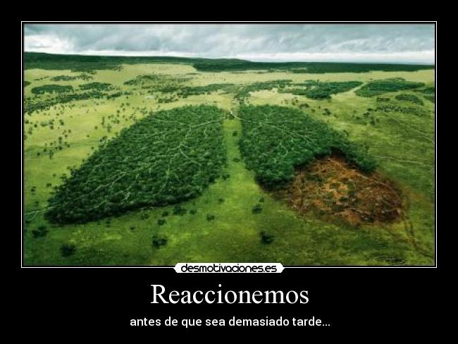 Reaccionemos - antes de que sea demasiado tarde...