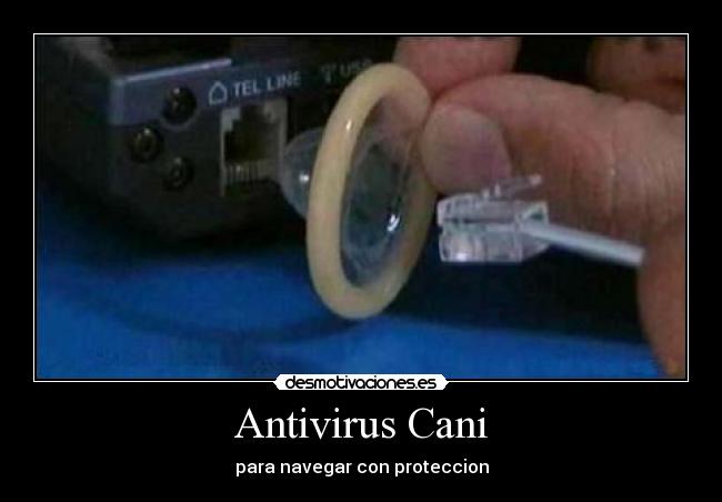 Antivirus Cani - 