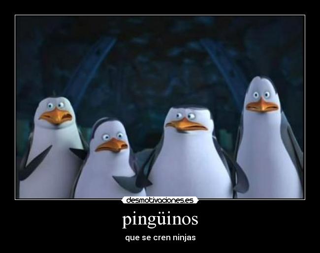 carteles pinguinos desmotivaciones